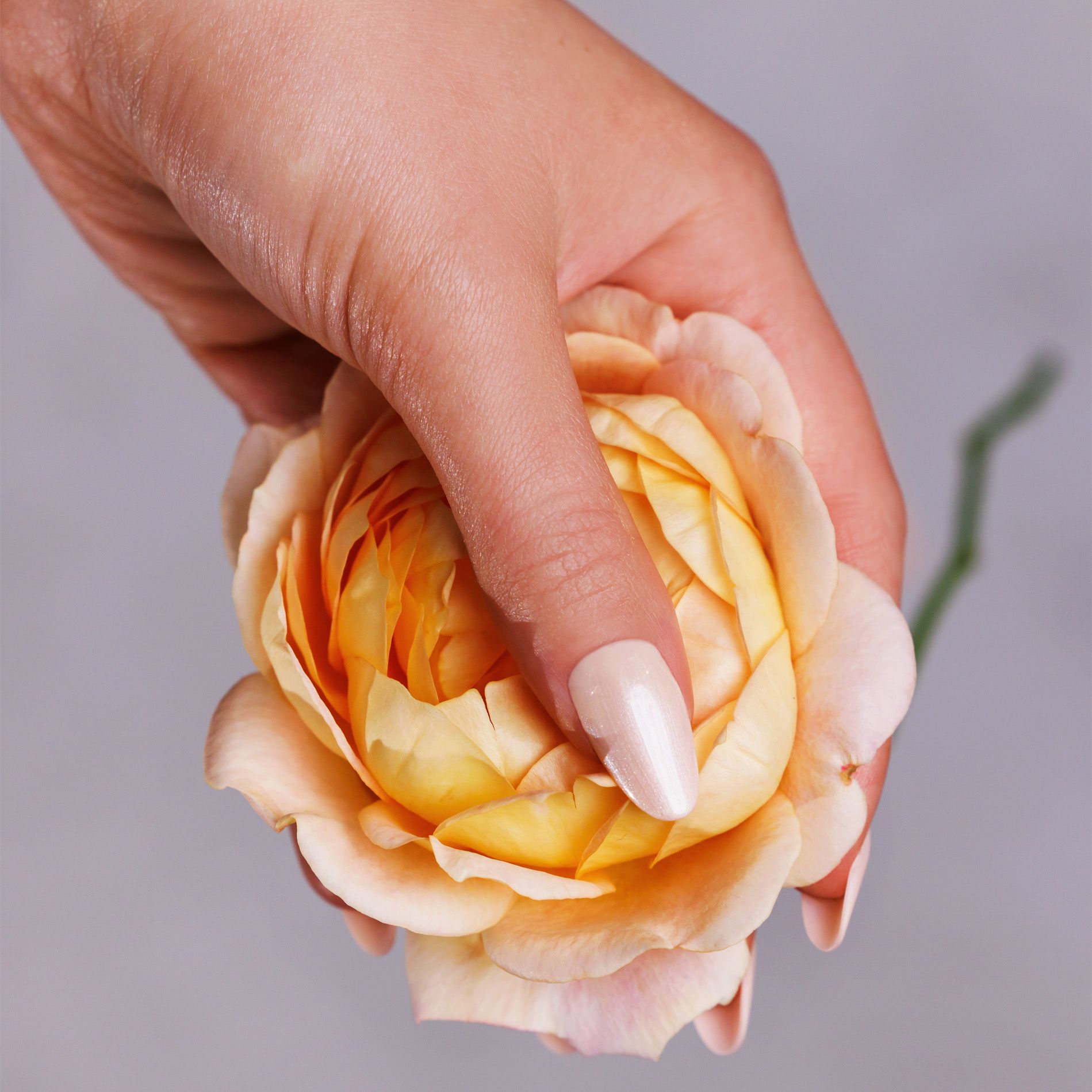 MM Lakier hybrydowy Beż mnie! 1533 - obrazek 3